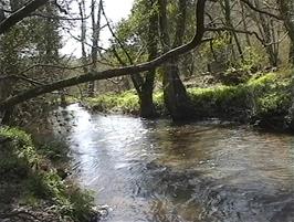 The River Gara near Hansel Mill